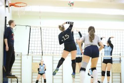 TK „Indigo“ antrąją pergalę „Dailiojoje“ moterų lygoje iškovojo nugalėdamos Kauno kolegijos komandą