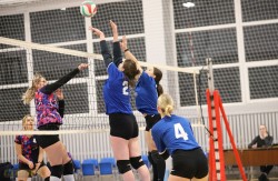 TK „Indigo“ tęsia pergalių seriją „Dailiojoje“ moterų lygoje