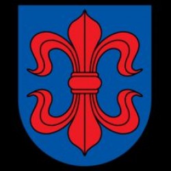  Po akaklios kovos Vilkaviškio "Aušros" gimnazija įveikė Kazlų Rūdos "Kazio Griniaus" gimnaziją