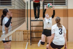 NSTL merginų lyga: užtikrinta VU pergalė prieš MRU