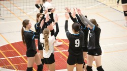 Moterų „Dailiosios“ lygos reguliariojo sezono finišo tiesiojoje – užtikrinta KTU pergalė prieš Kauno kolegiją