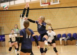 Kauno kolegija dailiojoje lygoje nepasipriešino TK „Sirenoms“