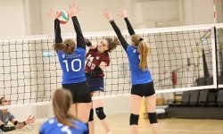 NSTL lygoje VDU merginos pradeda pergale prieš Klaipėdos Universitetą