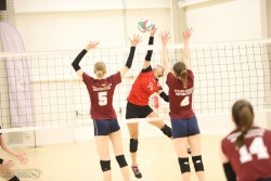 NSTL merginų lygoje pergalę švenčia VDU komanda.